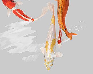 索尼PlayStation Visual Arts工作室遭遇裁员